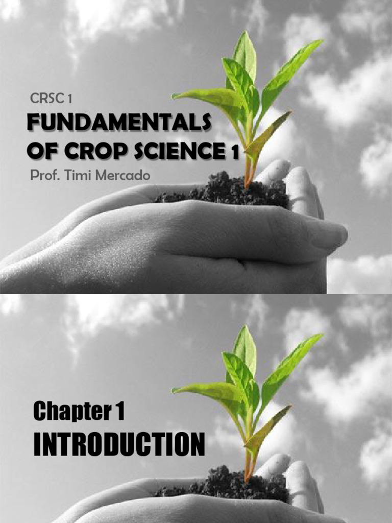Overview of Philippine Crop Science History | PDF | Agriculture | Rice