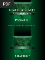 Download  Lower Extremity Kinesiology by Dennis Nabor Muoz RNRM SN8939638 doc pdf
