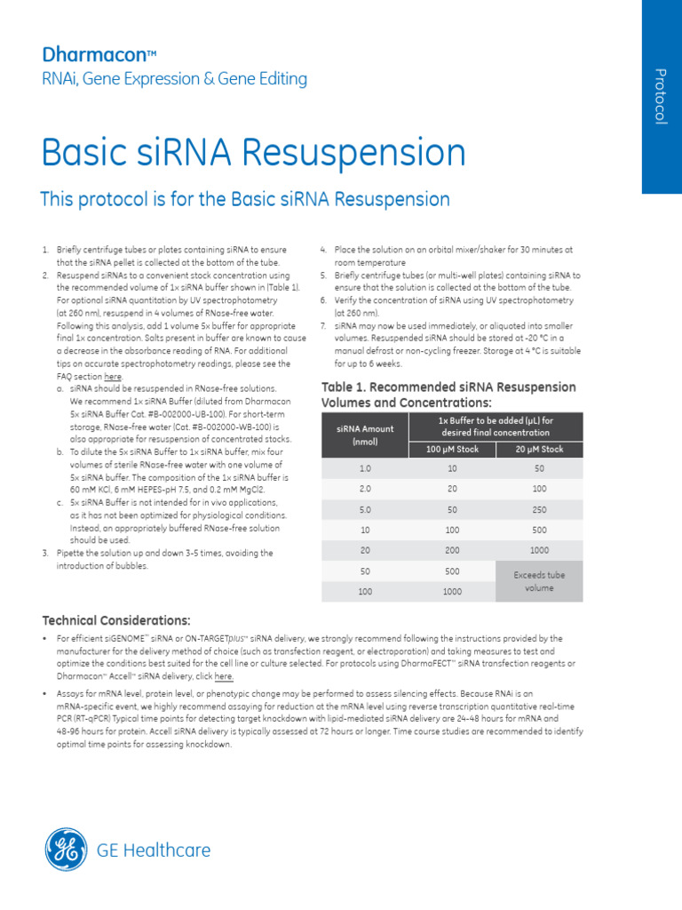 Dharmacon siRNA Resuspension Protocol | PDF | Small Interfering Rna ...