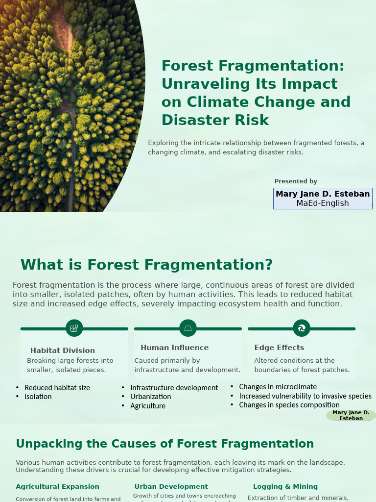Forest Fragmentation Unraveling Its Impact On Climate Change and ...