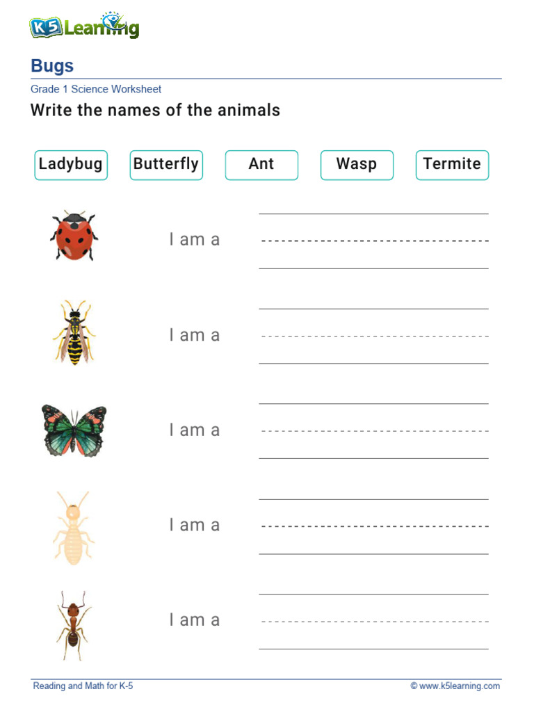 Insect Names Worksheet for Grade 1 | PDF