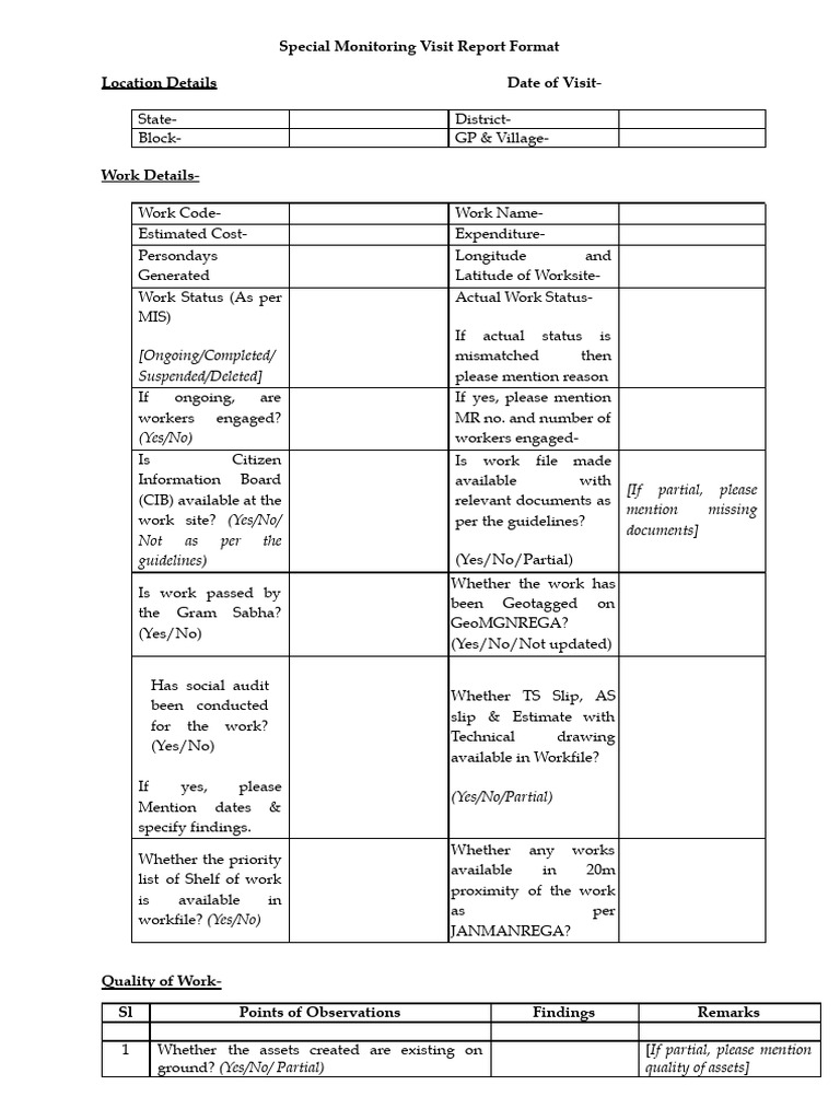 Special Monitoring Visit Format v2 | PDF