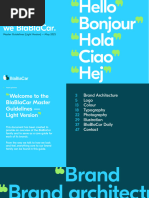 STC Brand Guidelines Overview | PDF | Rgb Color Model | Visual Perception