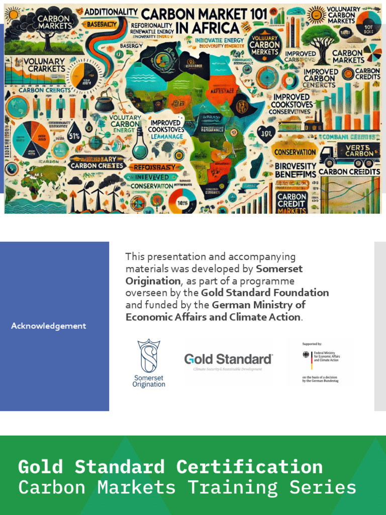 Introduction to Carbon Markets Guide | PDF | Climate Change | Climate ...