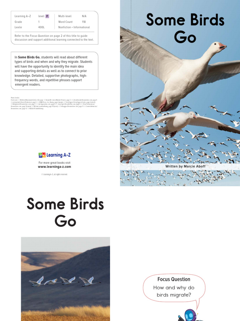Understanding Bird Migration for Kids | PDF | Birds | Zoology