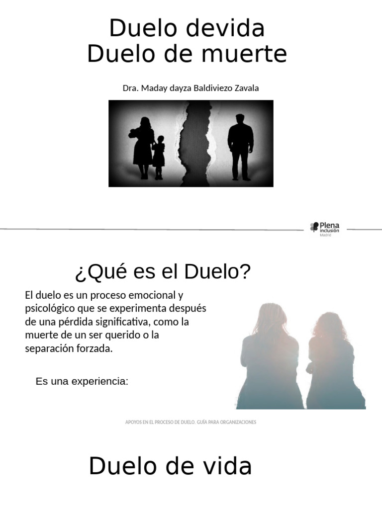 Guía de Apoyo en el Proceso de Duelo | PDF | Dolor | Las emociones