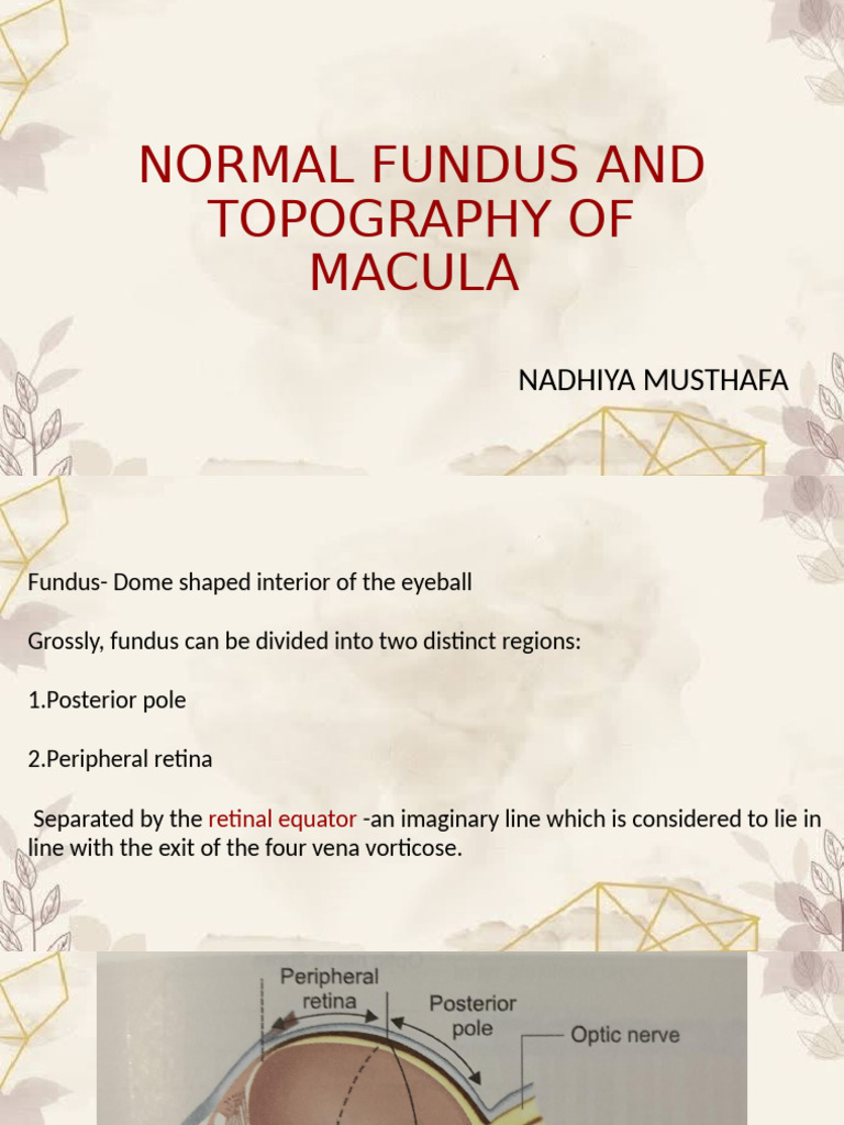 Normal Fundus 3 | PDF | Retina | Eye