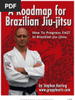 BJJ Roadmap 1.3