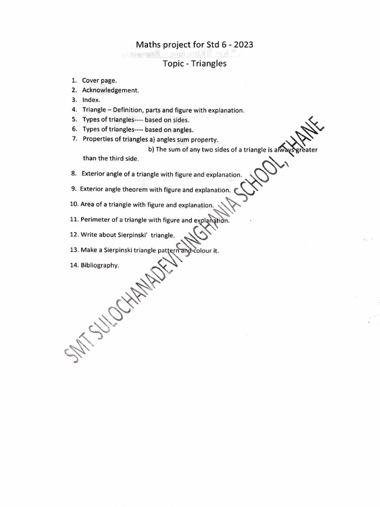 Class 6 Maths Project on Triangles | PDF