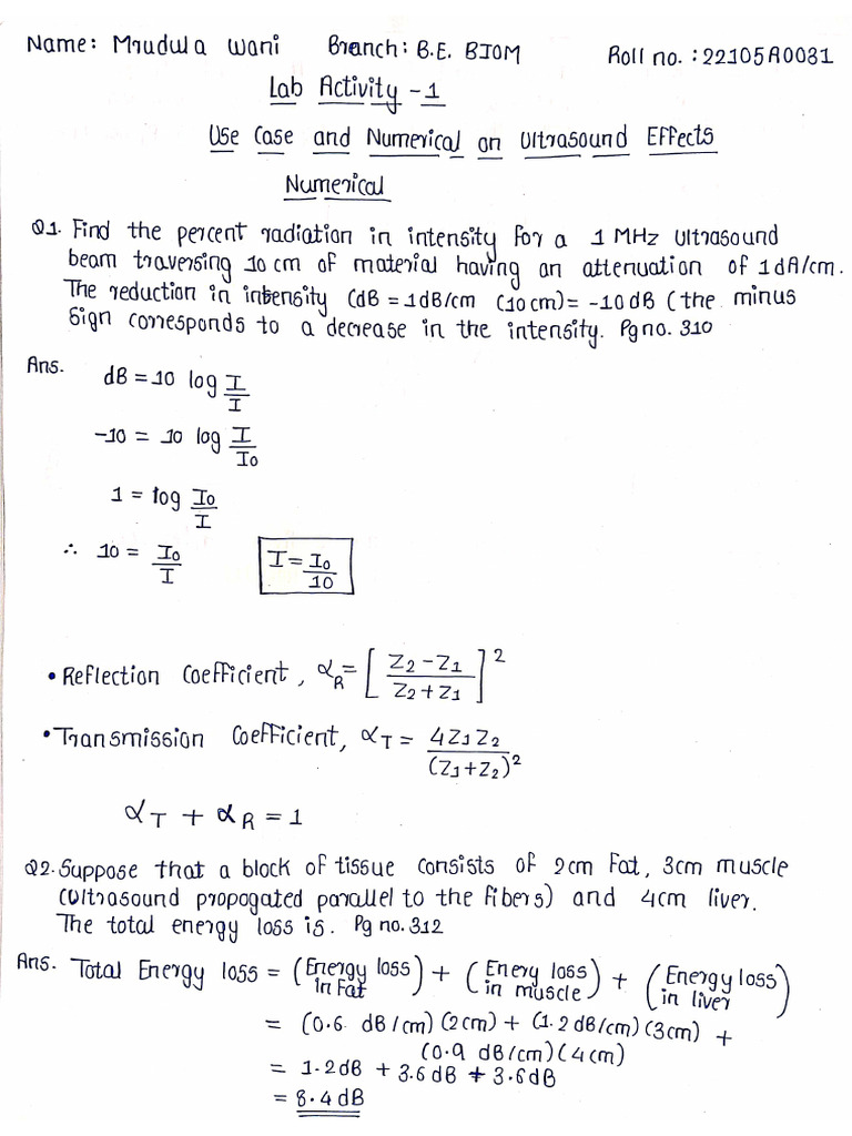 Lab Activity 1 - Mrudula Wani - 22105a0031 | PDF