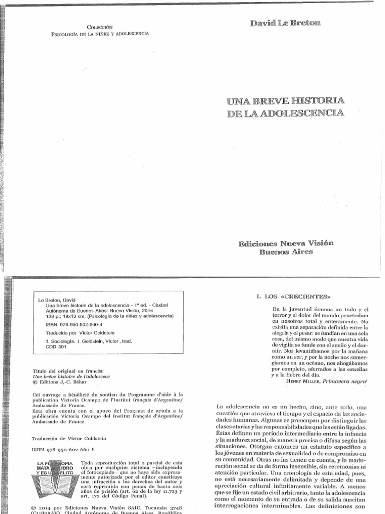 Una Breve Historia de La Adolescencia | PDF