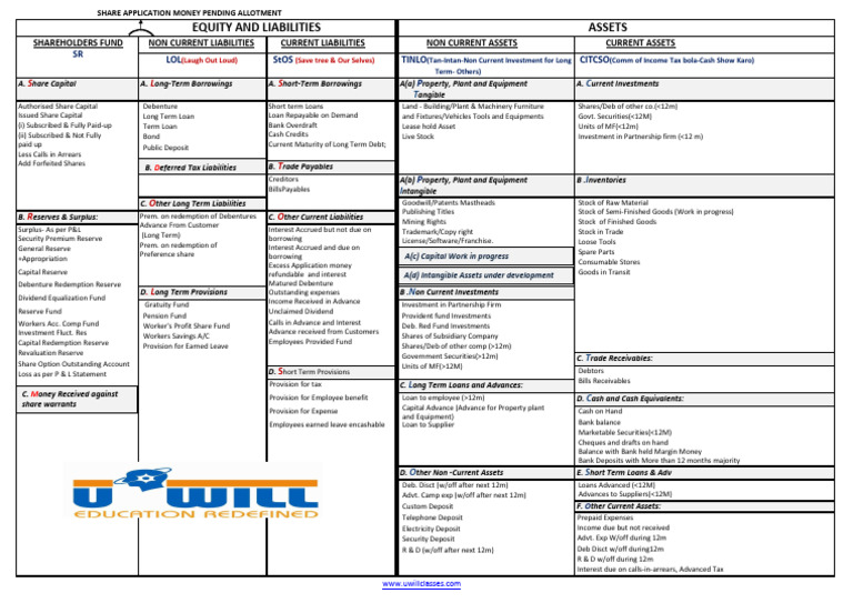 2025 Balance Sheet Format Overview | PDF | Balance Sheet | Equity (Finance)