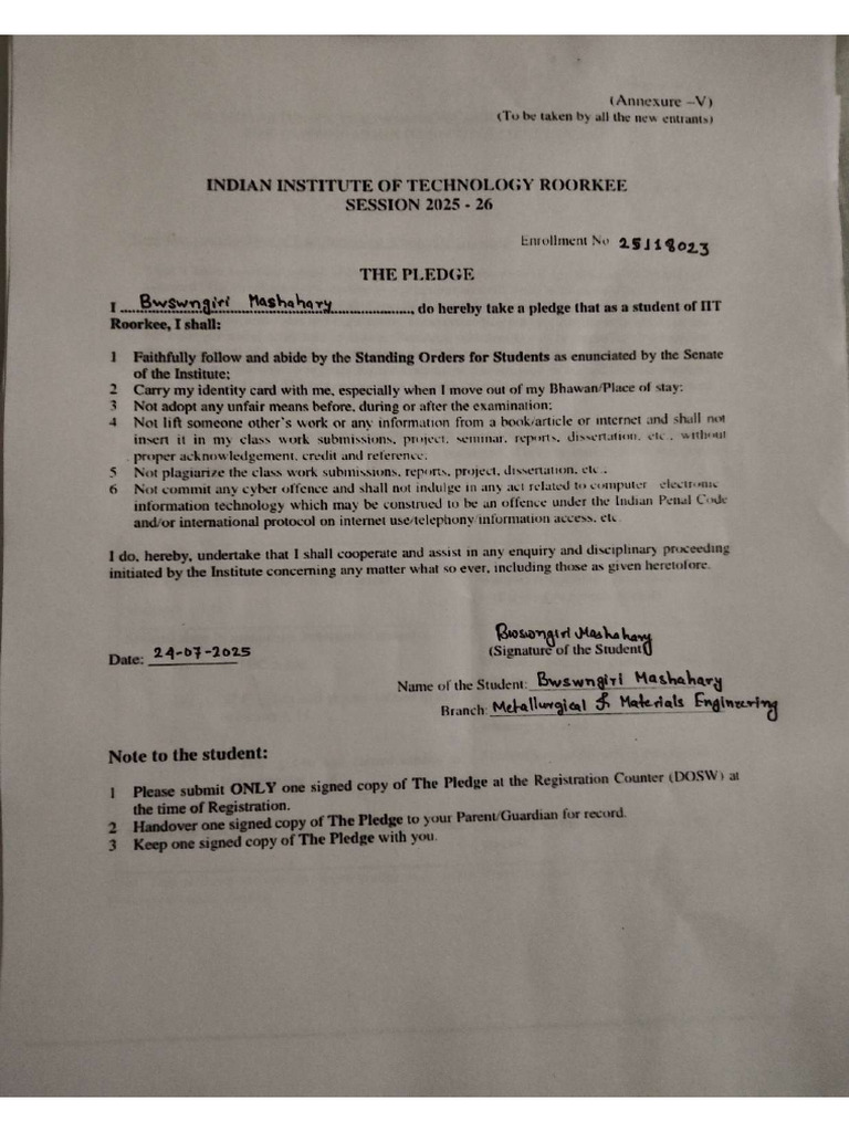 Pledge | PDF