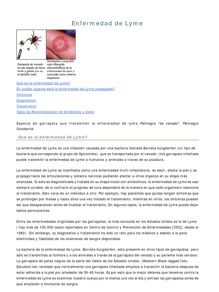 La Vérité Sur La Maladie De Lyme Pdf