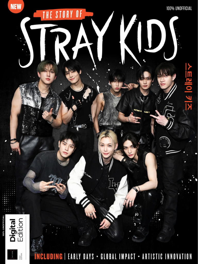 The - Story - of - Stray - Kids 2025 | PDF