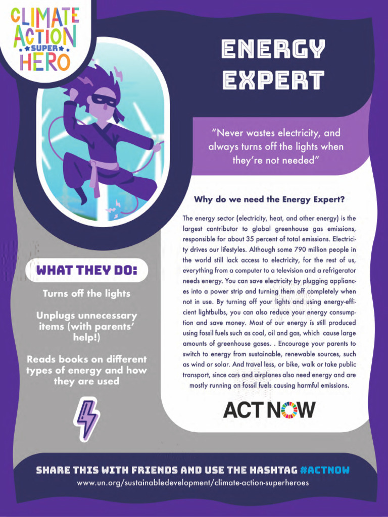 Un Energy Expert | PDF
