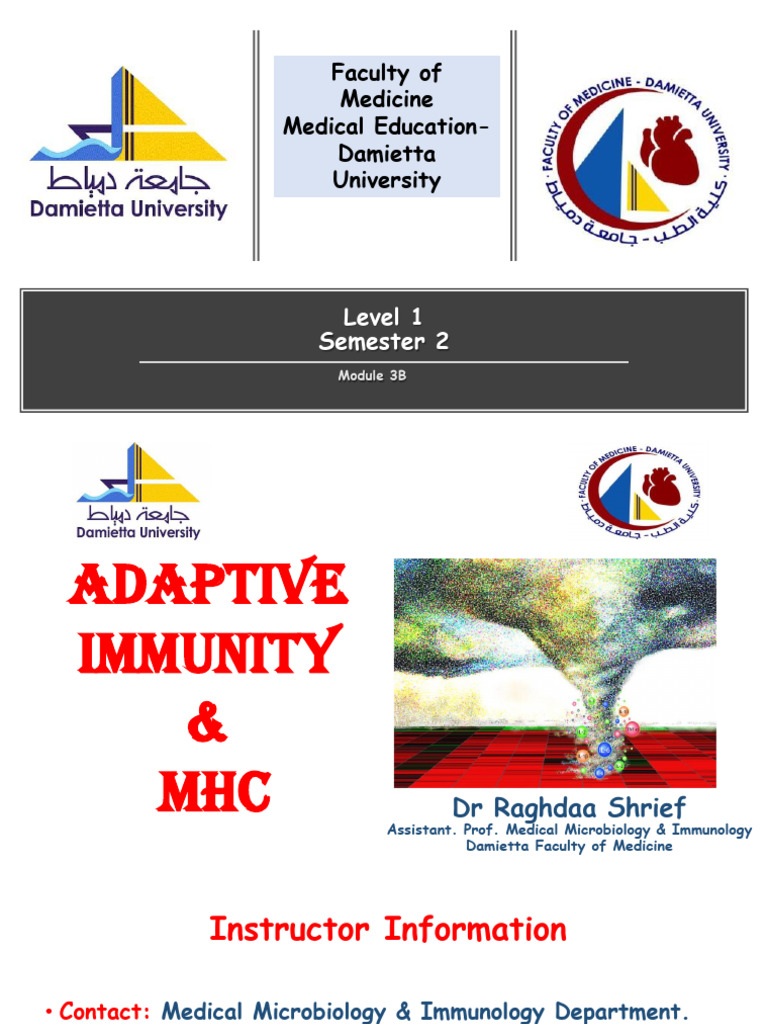 4 - Lecture Immunology, Adaptive Immunity - MHC - Sem 2 - Module 3B ...