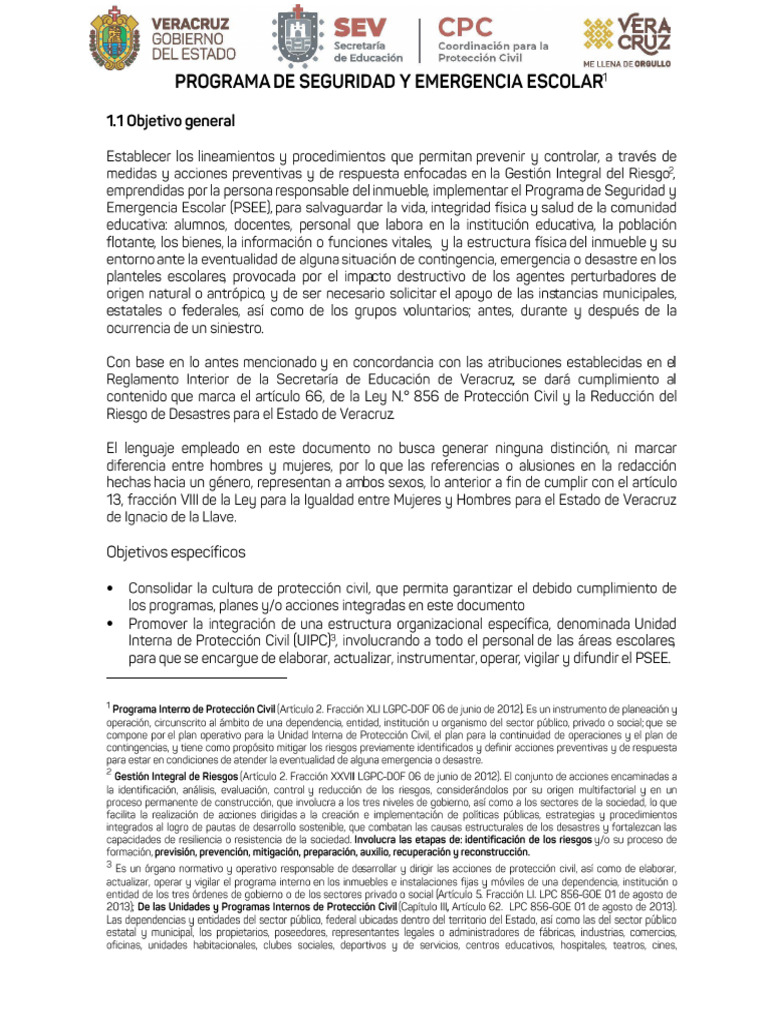 Programa de Seguridad Escolar PSEE | PDF