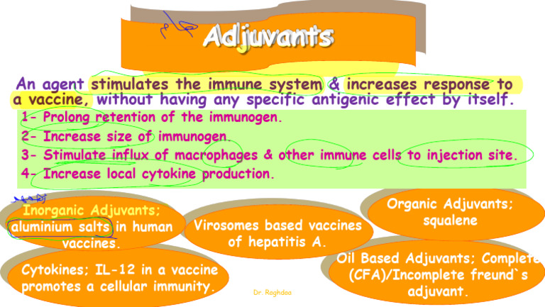 Adjuvants in Vaccine Immunity Enhancement | PDF