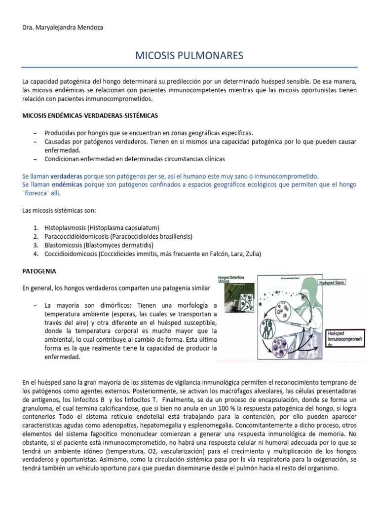 Micosis Pulmonares: Tipos y Patogenia | PDF | Neumonía | Alergia
