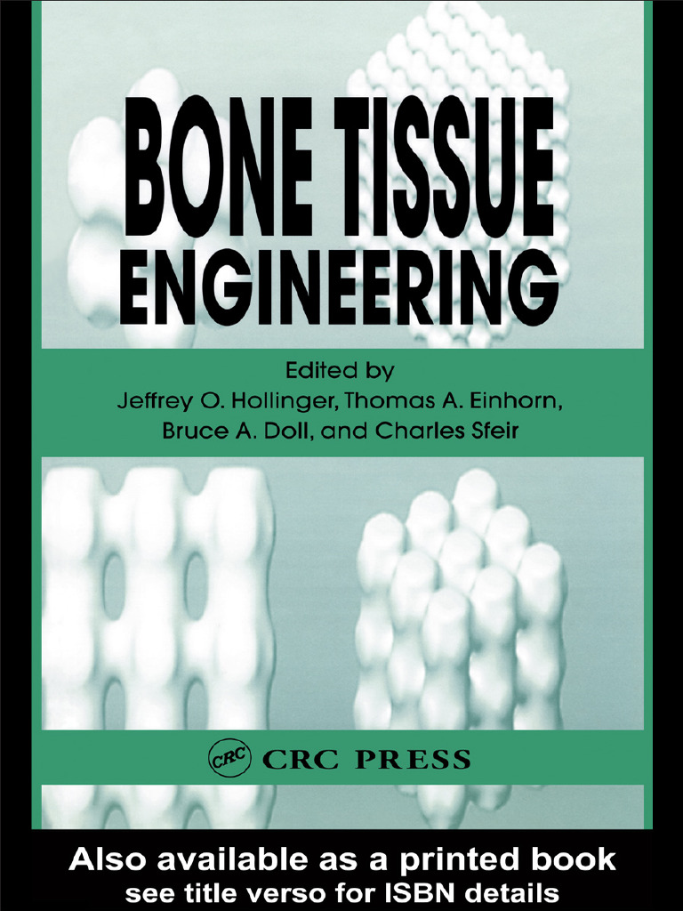 Fundamentals of Bone Tissue Engineering | PDF | Bone | Osteoblast