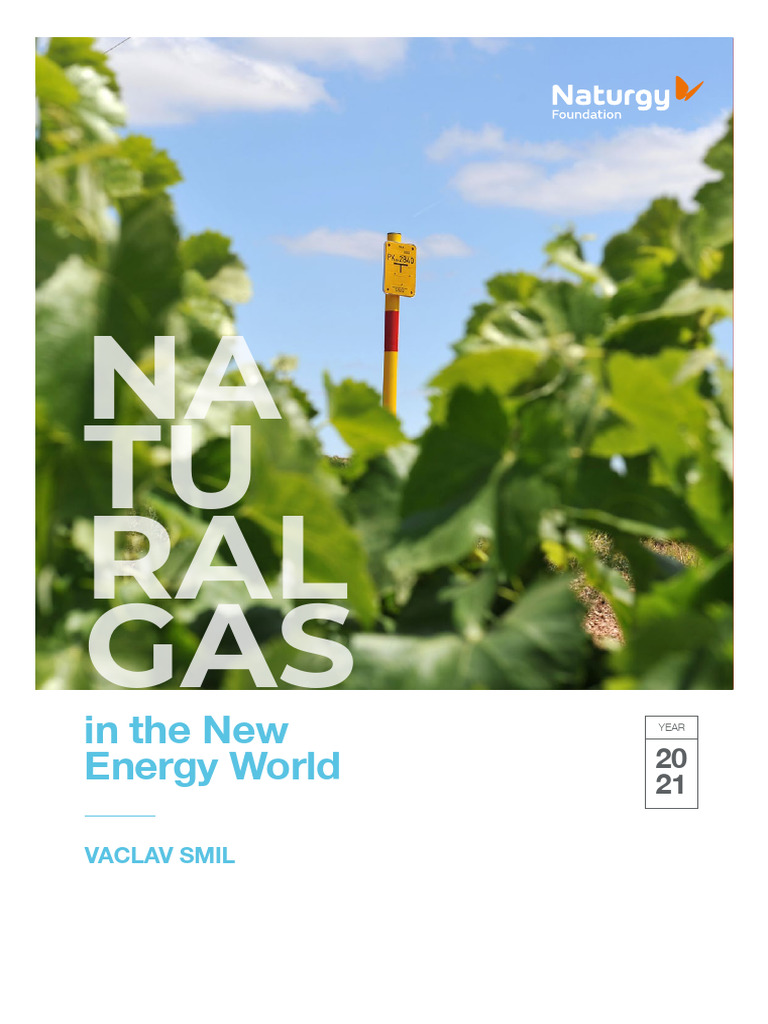 Natural Gas: Future in Energy Transition | PDF | Natural Gas | Fuels