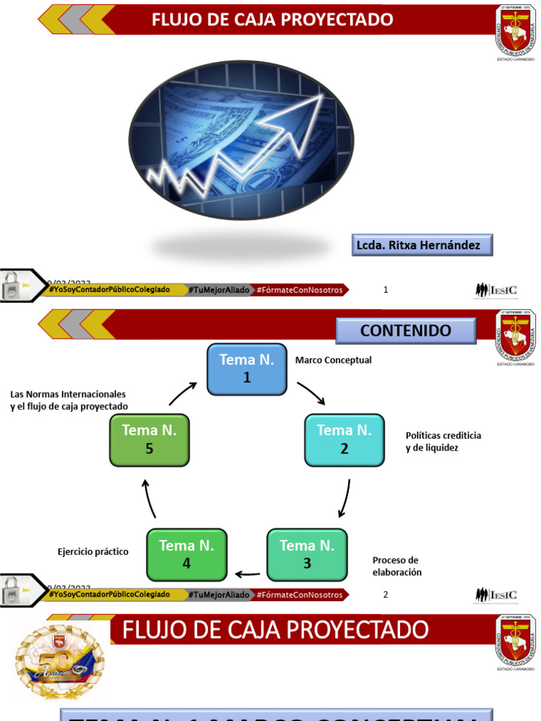 Presentación de Powerpoint Flujo de Caja Proyectado | PDF | Presupuesto ...