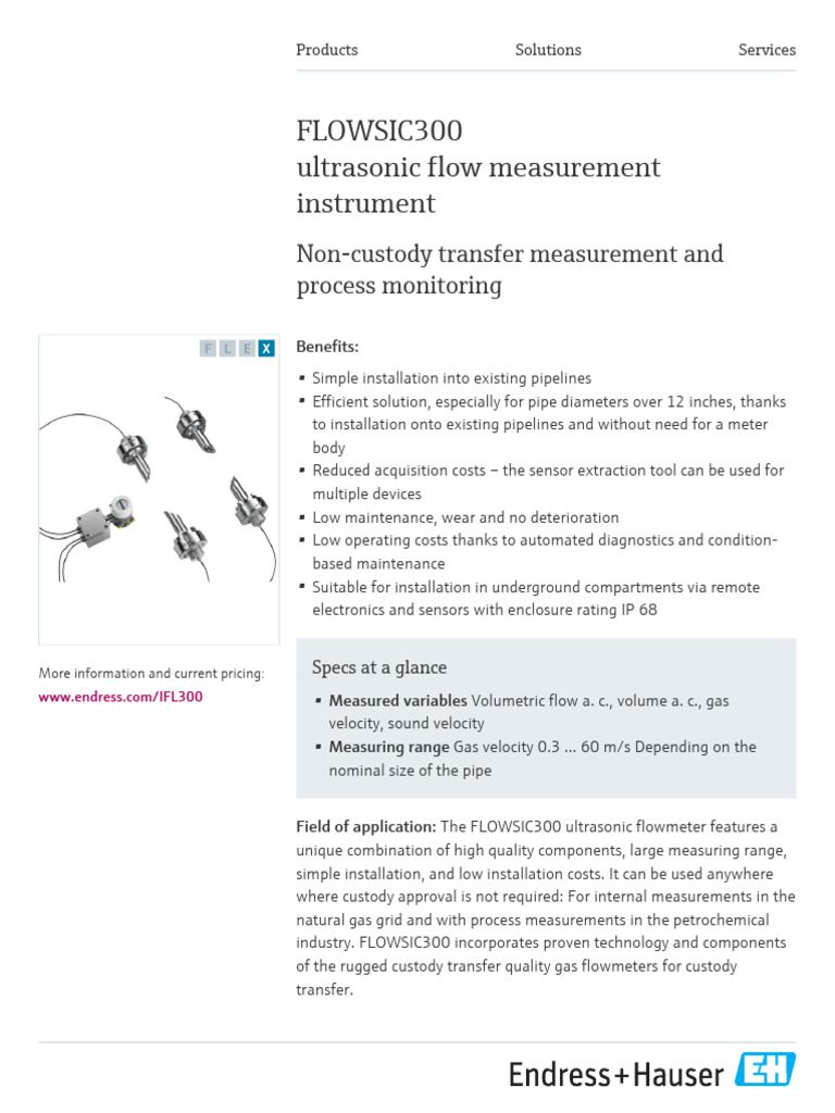 Endress+Hauser FLOWSIC300 Overview | PDF | Flow Measurement | Ultrasound