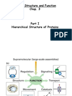 Protein Structure and Function Chap. 3: Hierarchical Structure and Folding