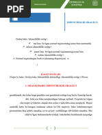 Teleboshlovchi Lander porno