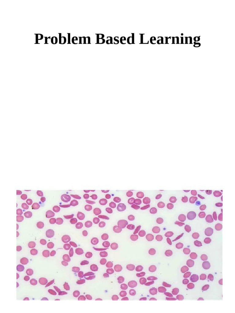 Problem Based Learning 2025 | PDF