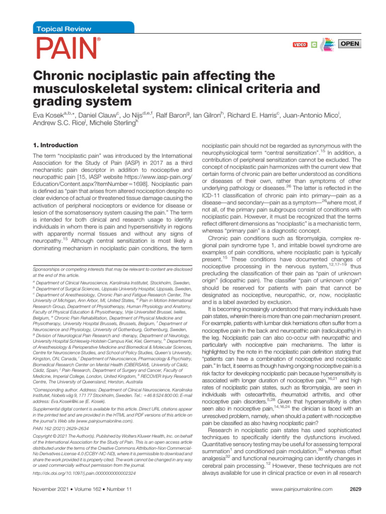 Understanding Nociplastic Pain | PDF | Pain | Fibromyalgia