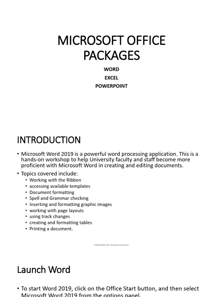 Microsoft Word 2019 User Guide | PDF | Microsoft Word | Computing