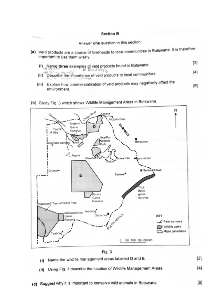 Practice Questions Section b | PDF