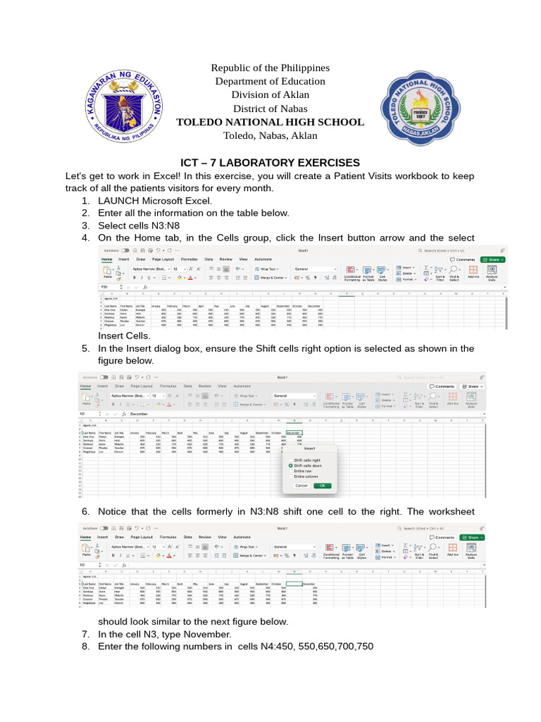 Excel Patient Visits Workbook Guide | PDF
