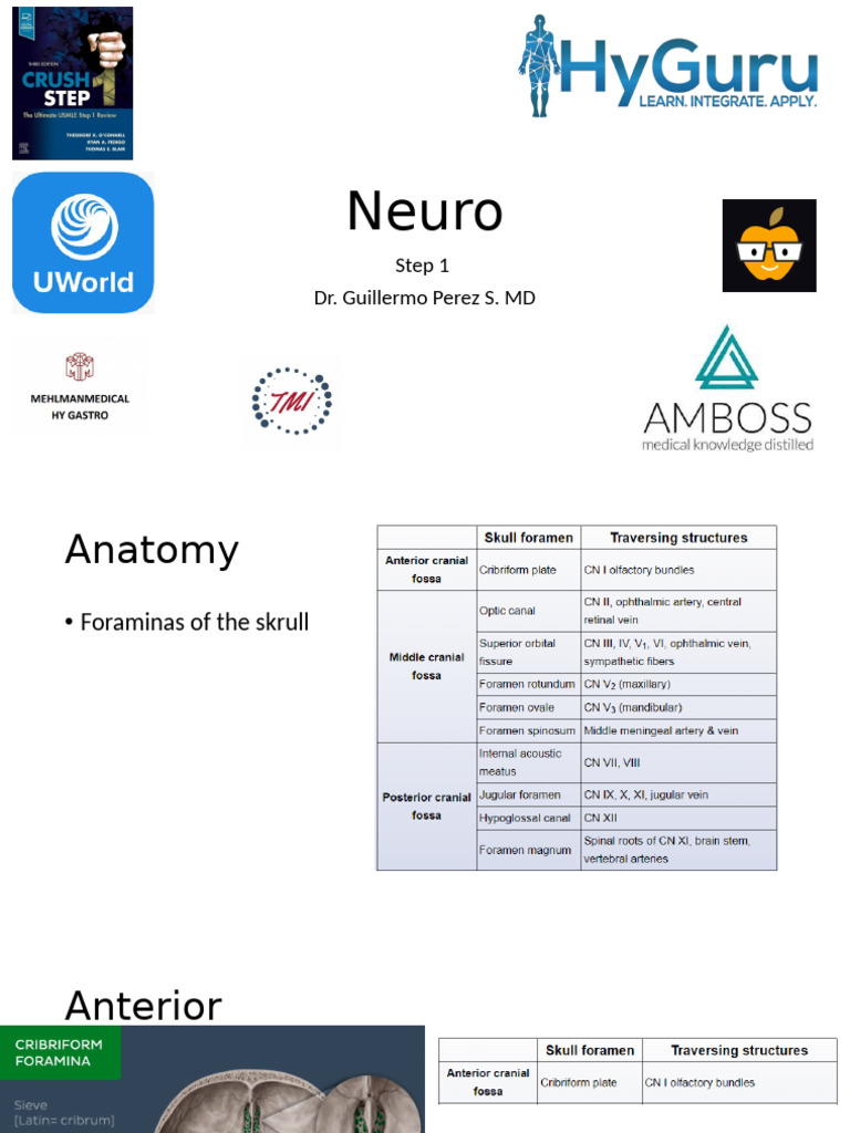Neuro | PDF