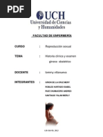 Historia Cilinica Gineco Obstetra[1]