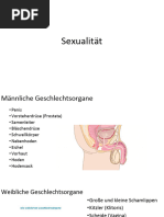 DOKTORARBEIT Penisverletzungen Bei Masturbation Mit Staubsaugern