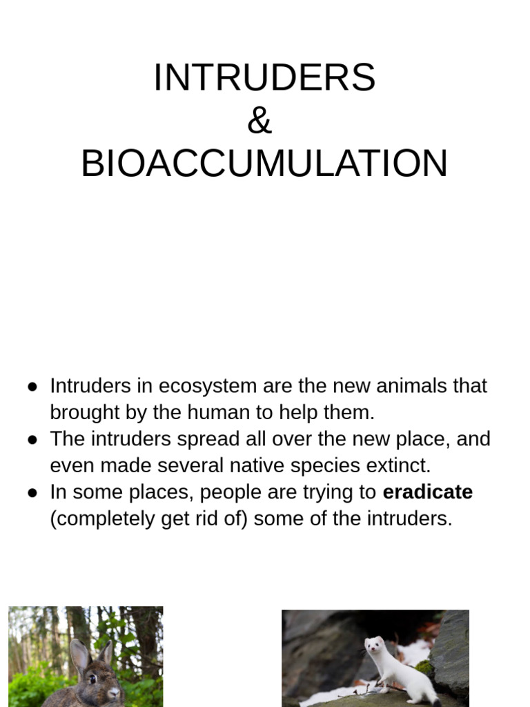 Intruders and Bioaccumulation Explained | PDF