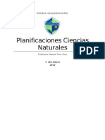 Planificacion Anual Ciencias Naturales 4 Basico