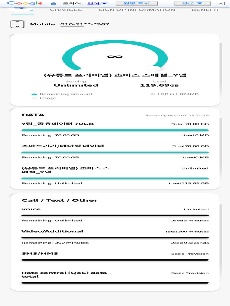 Mobile Data Usage Summary Report | PDF