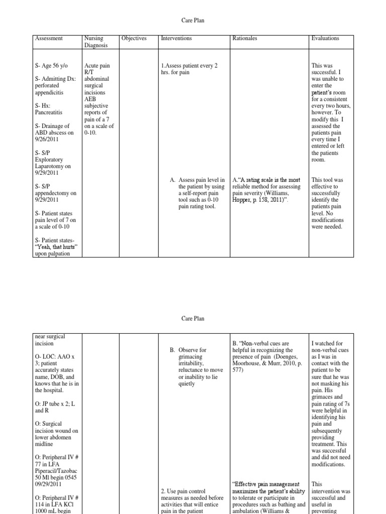 Pain Care Plan Pain Pain Management