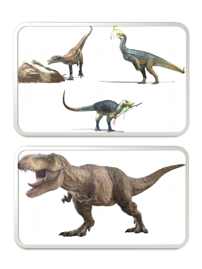 T Rex | PDF