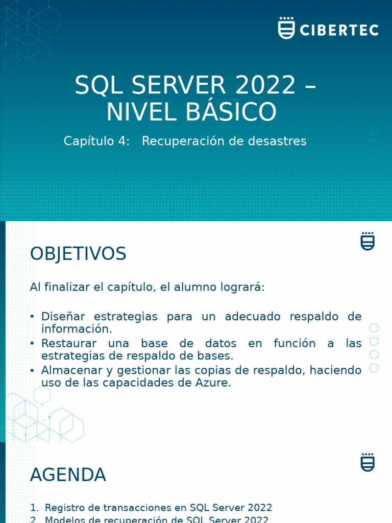 Modelamiento de Base Datos 2 | PDF | Apoyo | Servidor SQL de Microsoft