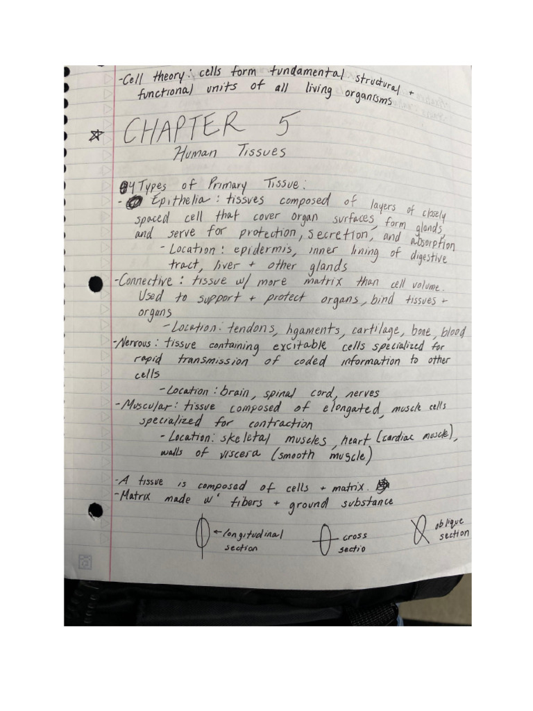 BIO 163 Chapter 5 | PDF