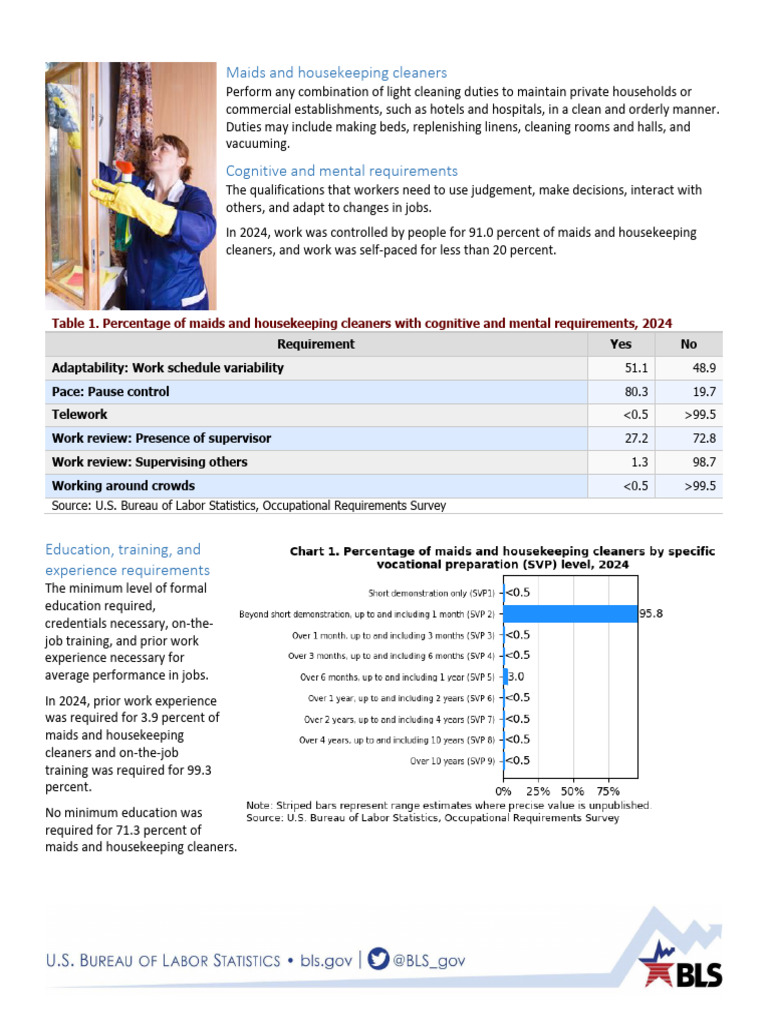 2024 Maids and Housekeeping Cleaners Overview | PDF | Housekeeping | Labor
