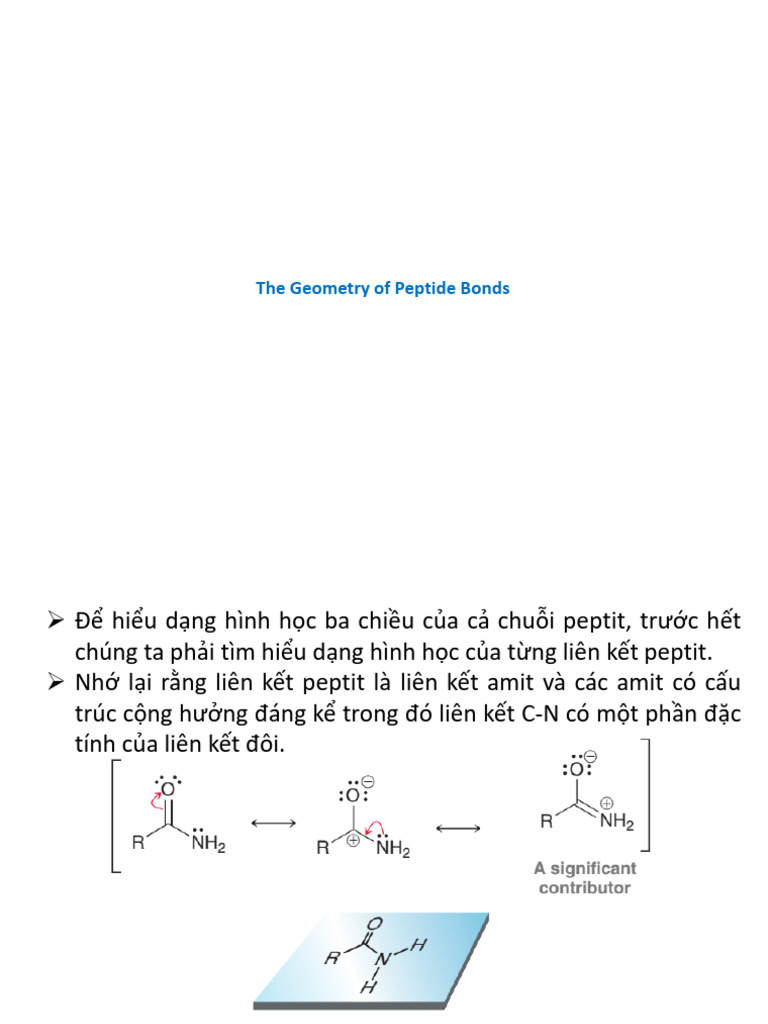 V P3 Peptide Structure and Sequencing | PDF
