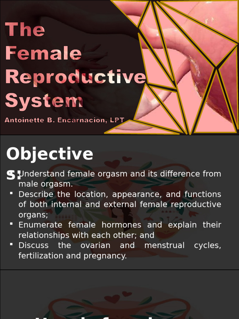 Understanding Female Reproductive Health | PDF | Menstrual Cycle | Ovary