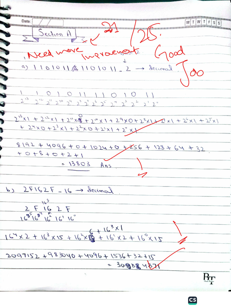 Saliha Altaf New Test | PDF