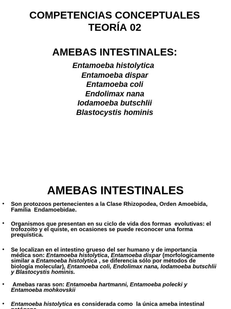 Amebas Intestinales | PDF | Especialidades Medicas | Enfermedades y ...